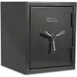 Sanctuary 4.98-cu ft Fireproof and Waterproof Floor Safe with Biometric Lock