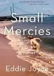 Small Mercies: A Novel [Book]