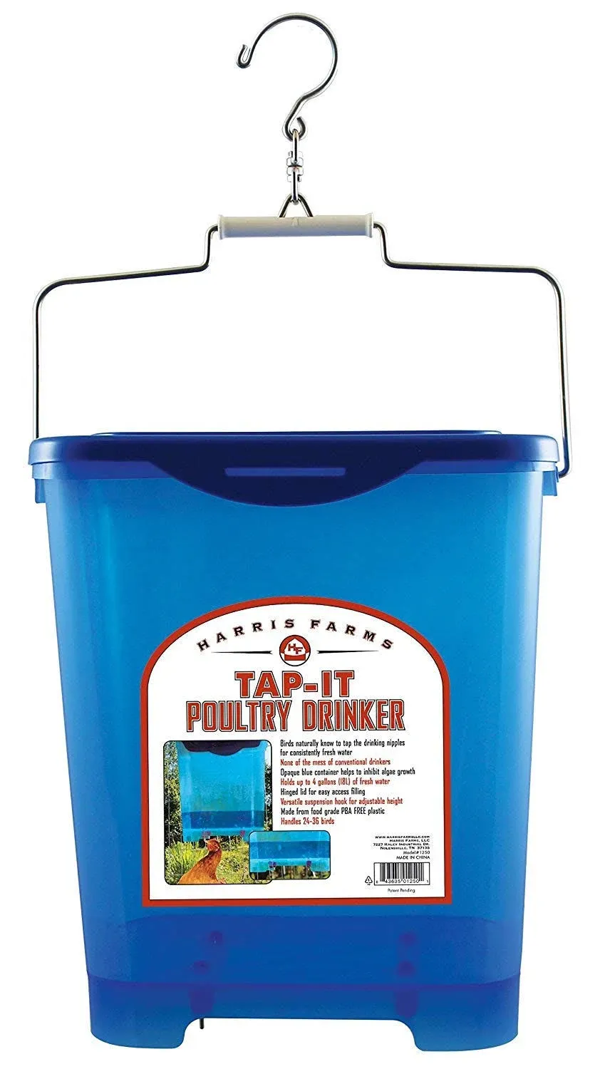 Tap-It Poultry Drinker, Opaque Blue, 4 Gallon