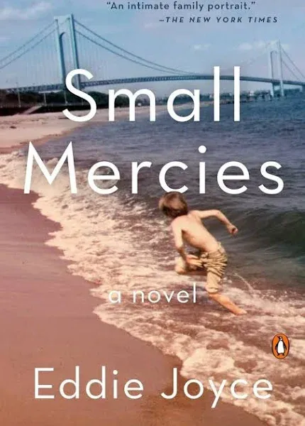 Small Mercies: A Novel [Book]