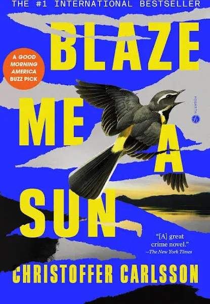 Blaze Me a Sun: A Novel About a Crime