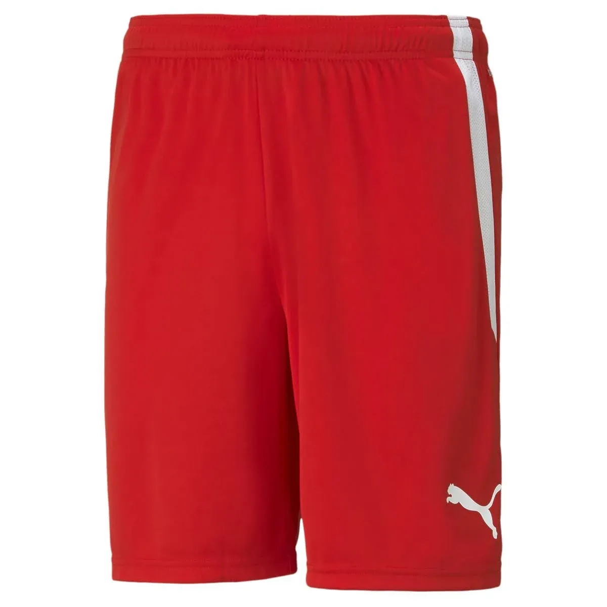 Puma Men's Teamliga Shorts