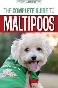 The Complete Guide to Maltipoos: Everything you need to know before getting your Maltipoo dog