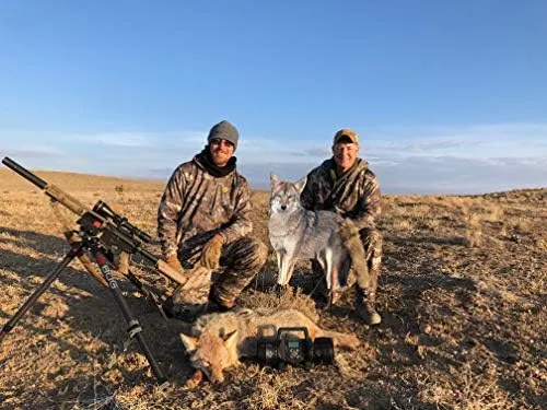 Montana Decoy Song Dog Coyote Decoy