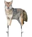 Montana Decoy Song Dog Coyote Decoy