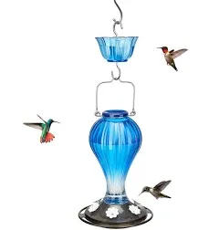 Kingsyard Glass Hummingbird Feeder