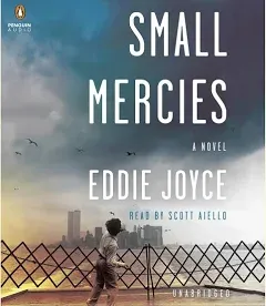 Small Mercies: A Novel