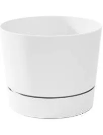 Root & Vessel Majestic Mid-Century Modern Low Profile Cylinder Pot, Matte White, 4.5"