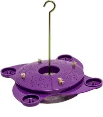 Garden Essentials Purple Butterfly Feeder and Nectar