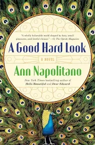 A Good Hard Look: A Novel