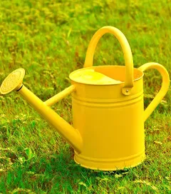 Joequality Watering Can for Outdoor Plants,1 Gallon Metal Plant Watering Can wi