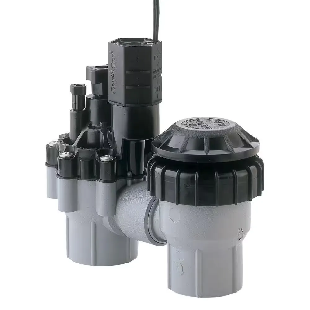 Rain Bird Anti-Siphon Valve - 3/4"