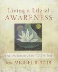 Living a Life of Awareness: Daily Meditations on the Toltec Path by don Miguel R