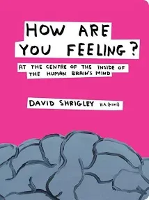 How Are You Feeling?: At the Centre of the Inside of The Human Brain’s Mind