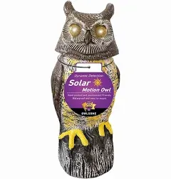 Owlsome Solar Tiger Owl with Flashing Eyes, Rotating Head, Hoot Sound, Motion Detector and Silent Mode, Plastic Owl Garden Sculpture, Garden Decoration