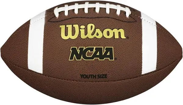 Wilson NCAA TDY Composite Football - Youth