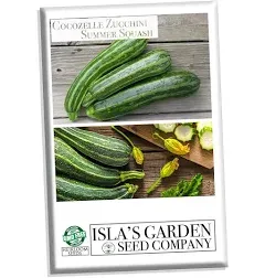 Cocozelle Zucchini Summer Squash Seeds