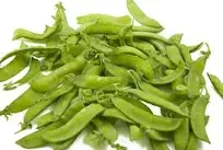 Oregon Sugar Pod II Snow Pea Seeds