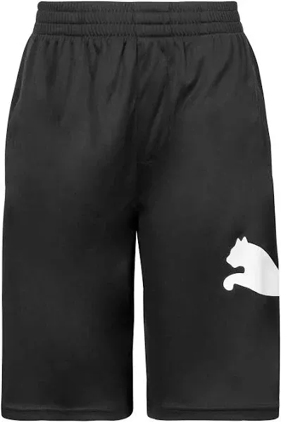 Boys 8-20 PUMA Core Pack Shorts