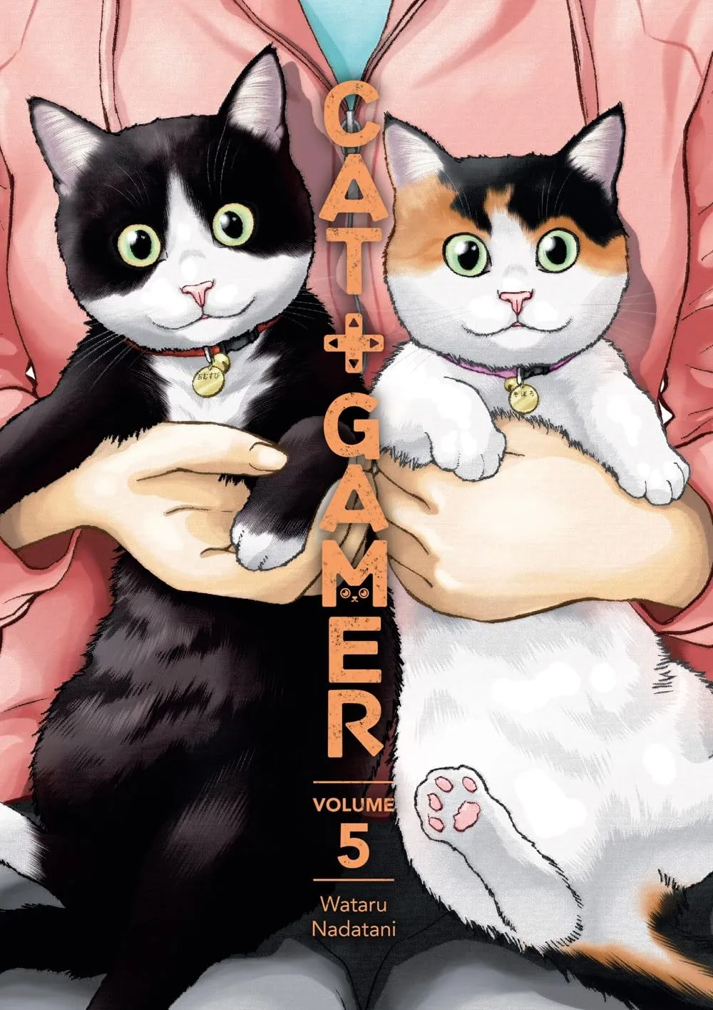 Cat + Gamer Volume 5 eBook