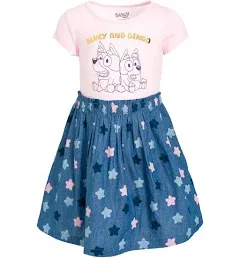 Bluey Bingo Girls Dress Toddler to Little Kid