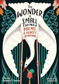 The Wonder of Small Things: Poems of Peace and Renewal (Paperback or Softback)