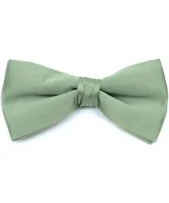 Young Boy's Pre-tied Clip On Bow Tie