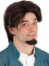 Fun Costumes Disney Tangled Flynn Rider Wig & Goatee Set Standard