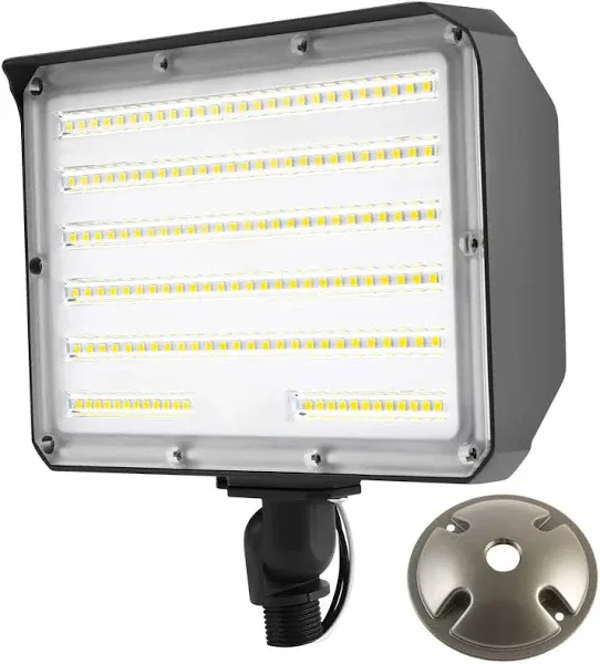 Dawn Outdoor 100W LED Flood Light with Knuckle