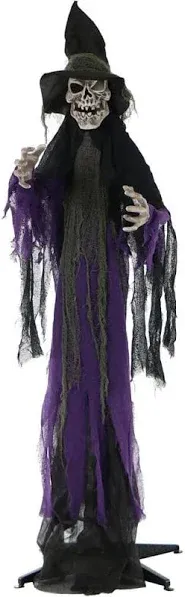 Haunted Hill Farm Life Size Skeleton Witch Prop 6 Color LED Light Indoor Outdoor