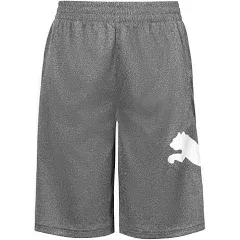 Boys 8-20 PUMA Core Pack Shorts