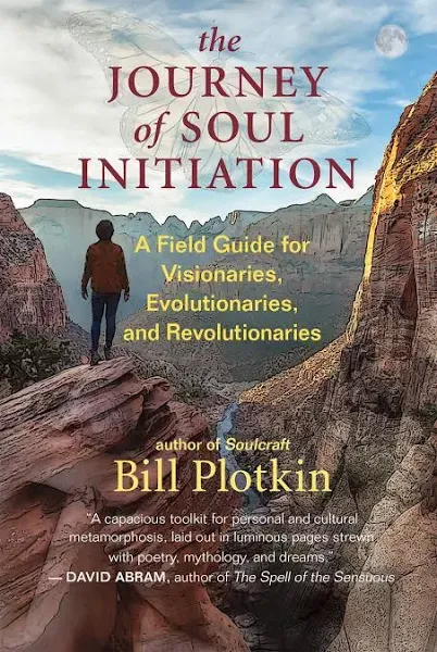 The Journey of Soul Initiation: A Field Guide for Visionaries, Evolutionaries, and Revolutionaries