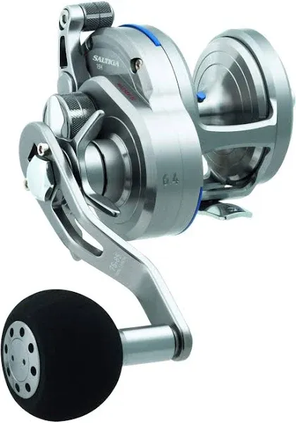 Daiwa Saltiga Star Drag Magsealed Conventional Fishing Reel SASD40HA