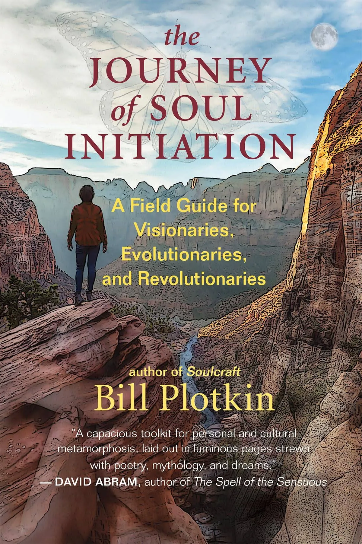 The Journey of Soul Initiation: A Field Guide for Visionaries, Evolutionaries, and Revolutionaries [Book]