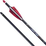 TenPoint CenterPunch HPX 20" Carbon Arrows