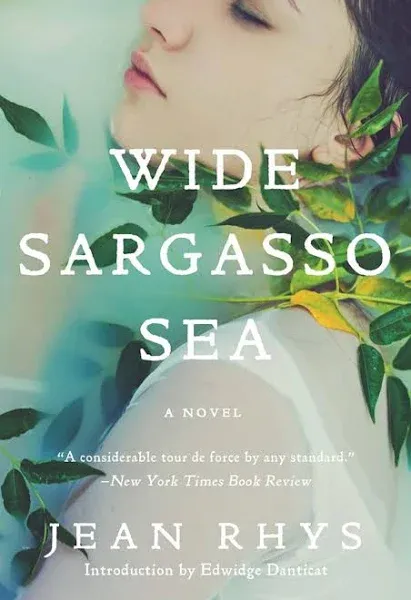 Wide Sargasso Sea Rhys, Jean