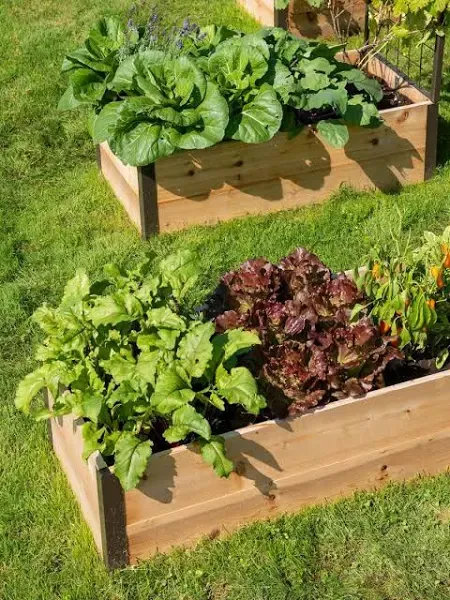 Gardener's Supply Company Raised Garden Bed