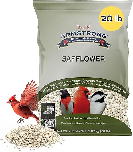 Armstrong Wild Bird Food Safflower Bird Seed, 20 Pounds - for Northern Cardinals, Rose-Breasted Grosbeaks and Black-Capped Chickadees for Outside Feeders