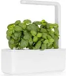 Click & Grow Smart Garden 3