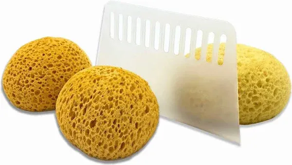 3 Pack Knockdown Texture Sponge