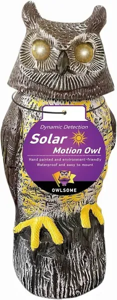  Solar Owl with Colored Flashing Eyes, Rotating Head, Hoot Sound, Motion 