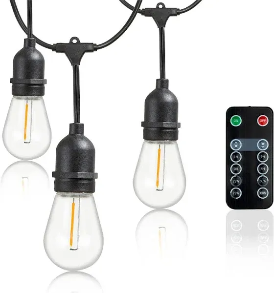 Newhouse Lighting LED String Lights with Weatherproof Technology, Dimmable with Wireless Remote Control, 48ft and 16 (15+1 free) LED Light Bulbs Included, Black (CSTRINGLEDDIM)