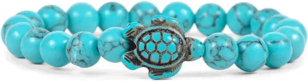 Sea Turtle Tracking Bracelet