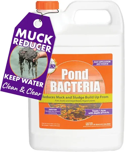 PondWorx Pond Bacteria - Formulated for Large Ponds, Water Features and Safe for Koi - Gallon