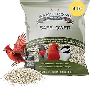 Armstrong Wild Bird Food Safflower Bird Seed, 4 Pounds - for Northern Cardinals, Rose-Breasted Grosbeaks and Black-Capped Chickadees for Outside Feeders