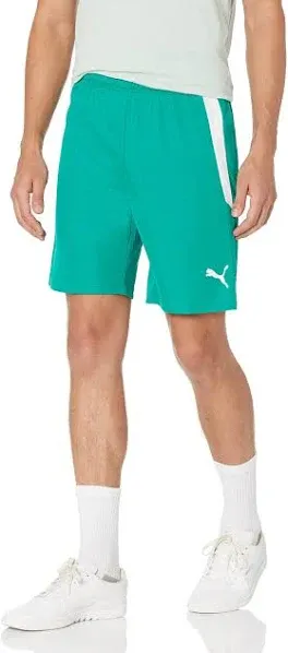 Puma Men's Teamliga Shorts