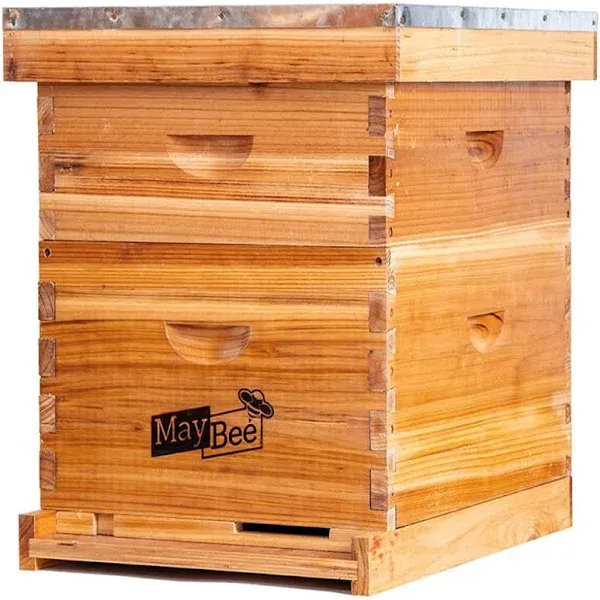 MayBee Bee Hive 10 Frame Starter Kit