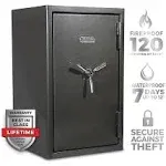 Sanctuary Biometric Lock Platinum Fireproof/Waterproof Home & Office Safe