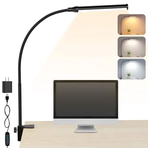 LED Desk Lamp