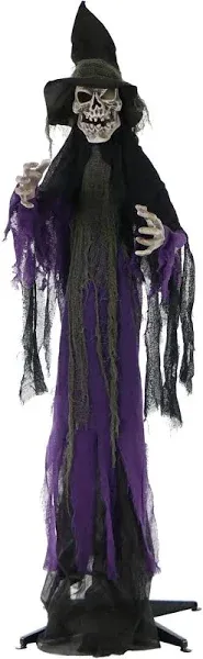 Haunted Hill Farm Life-Size Skeleton Witch Prop w/ 6-Function Multi-Color Light,